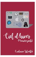 Ciel d'hiver - première partie