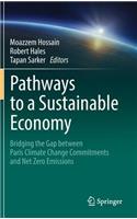 Pathways to a Sustainable Economy