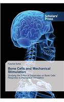 Bone Cells and Mechanical Stimulation
