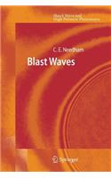Blast Waves