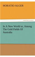 In A New World or, Among The Gold Fields Of Australia