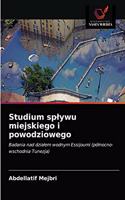 Studium splywu miejskiego i powodziowego