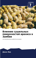 Влияние сушильных поверхностей арахиса в