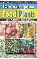 Economically Important Food Plants