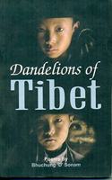 Dandelions of Tibet