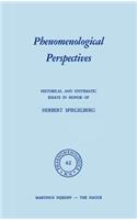 Phenomenological Perspectives