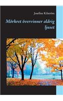 Mörkret övervinner aldrig ljuset