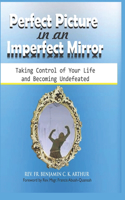 Perfect Picture in an Imperfect Mirror