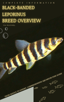 Black-banded leporinus