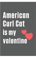 American Curl Cat is my valentine: For American Curl Cat Fans