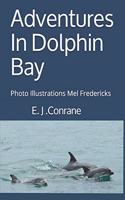 Adventures In Dolphin Bay