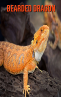 Bearded Dragon: Beautiful Pictures & Interesting Facts Children Book About Bearded Dragon