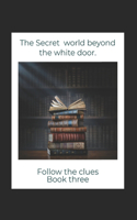 secret world beyond the white door Book 3 THE BOOK