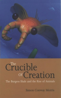 Crucible of Creation