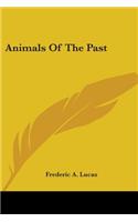 Animals Of The Past