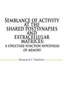 Semblance of activity at the shared postsynapses and extracellular matrices: A structure-function hypothesis of memory
