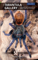 Tarantula Gallery: Image Reference & Species Accounts