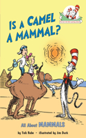 Is a Camel a Mammal? All about Mammals