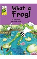 Leapfrog Rhyme Time: What a Frog!