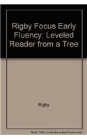 Rigby Focus Early Fluency