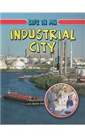 Life in an Industrial City