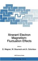 Itinerant Electron Magnetism: Fluctuation Effects