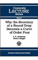 Why the Boundary of a Round Drop Becomes a Curve of Order Four