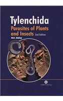 Tylenchida