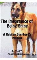 Importance of Being Shine