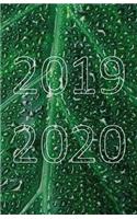 2019 - 2020: 18 Month Academic Planner from JULY 2019 through DECEMBER 2020 with yearly overviews, monthly & weekly layouts, schedule... / Green Leaf Modern Cove