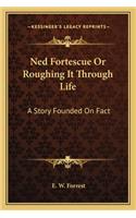 Ned Fortescue Or Roughing It Through Life