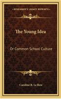 The Young Idea: Or Common School Culture