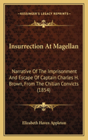 Insurrection At Magellan