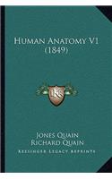 Human Anatomy V1 (1849)