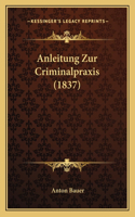Anleitung Zur Criminalpraxis (1837)