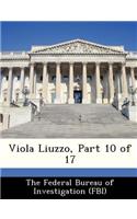 Viola Liuzzo, Part 10 of 17