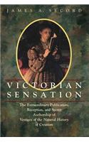 Victorian Sensation