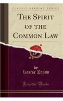 The Spirit of the Common Law (Classic Reprint)
