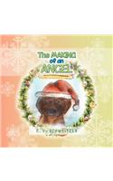 Making of an Angel