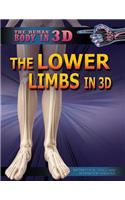 Lower Limbs in 3D
