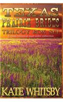 Texas Prairie Brides Trilogy Box Set: A Clean Historical Mail Order collection(English)