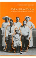 Making Ethnic Choices: California's Punjabi Mexican Americans(Asian American History & Cultu)
