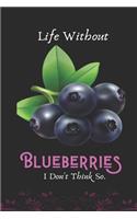 Life Without Blueberries I Don't Think So