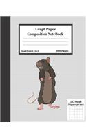 Graph Composition Notebook 5 Squares per inch 5x5 Quad Ruled 5 to 1 100 Pages