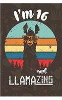 I am 16 And Llamazing