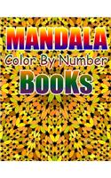 Mandala Color by Number Books