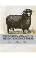 Merino and Anglo-Merino Breeds of Sheep