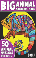 The Big Animal Coloring Book