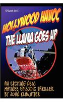 Hollywood Havoc II