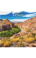 Texas Wild & Scenic 2020 Square Foil